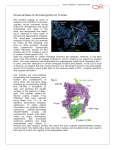 Structural Basis of Wnt Recognition by Frizzled