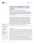 Co-option of an endogenous retrovirus envelope for host defense in