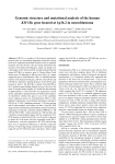 Genomic structure and mutational analysis of the human