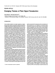 Emerging Themes of Plant Signal Transduction
