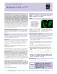 Datasheet Blank Template - Santa Cruz Biotechnology