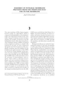 assembly of integral membrane proteins from the periplasm into the