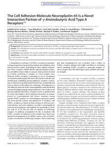 The Cell Adhesion Molecule Neuroplastin