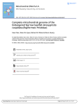 Complete mitochondrial genome of the Endangered Narrow