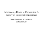 Introducing Reuse in Companies: A Survey of European Experiences