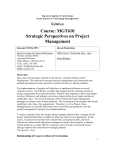 Strategic Perspectives on Project Management
