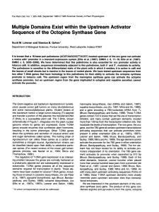 Multiple Domains Exist within the Upstream Activator