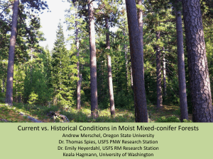 Current vs. Historical Conditions in Moist Mixed