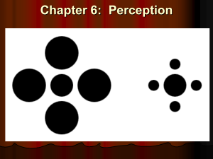 Chapter 6: Perception