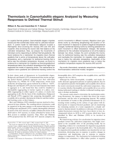 Thermotaxis in Caenorhabditis elegans Analyzed by Measuring