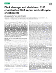 DNA damage and decisions: CtIP coordinates DNA repair and cell