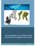 an assessment of international voice traffic termination rates