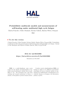 Probabilistic multiscale models and measurements of self