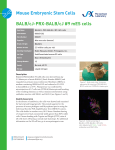 Mouse Embryonic Stem Cells BALB/cJ-PRX