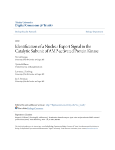 Identification of a Nuclear Export Signal in the Catalytic Subunit of