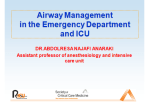 Basic Airway Management Head tilt/chin lift Jaw thrust Mandibular