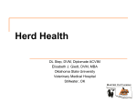 Commercial Beef Cow/Calf Herd Health Guidelines