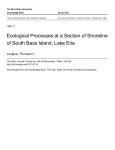 Ecological Processes at a Section of Shoreline of