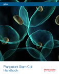 Pluripotent Stem Cell Handbook