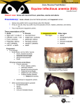 Equine infectious anemia (EIA)