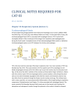 CLINICAL NOTES REQUIRED FOR CAT3