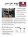 Keeping Your Livestock Show Animals Healthy