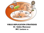mv-lect-06-virus-repl-stratigies
