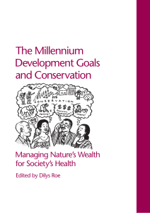 The Millennium Development Goals and Conservation