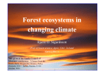 Forest ecosystems in changing climate