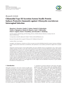 Chlamydial Type III Secretion System Needle Protein Induces