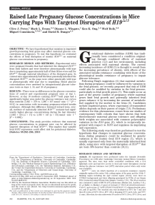 Raised Late Pregnancy Glucose Concentrations in Mice Carrying