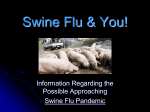 What is Swine Flu?