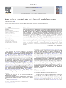 Repeat mediated gene duplication in the Drosophila