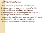 Listeria monocytogenes