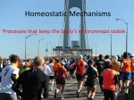 Homeostatic mechanisms