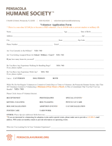 Volunteer Application Form