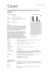 Go-ChIP-Grade™ Purified anti-Histone H3 (C-terminus