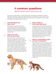 Common Questions About Blood Work