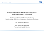 Numerical Solution of Differential Equations with Orthogonal