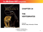 chapter 34 the vertebrates
