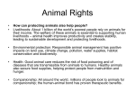 Animal Rights