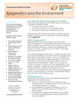 Epigenetics and the Environment