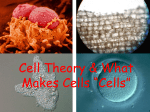 Cell Theory and What makes Cells “Cells”