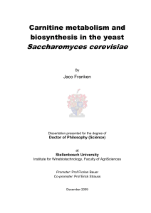 Carnitine metabolism and biosynthesis in yeast Saccharomyces