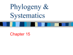 Phylogeny