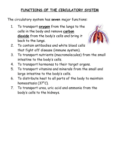functions of the circulatory system