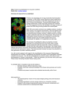 Title, Protein drug stabilisation for long term shelf life