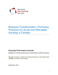 Business Transformation: Promising Practices for