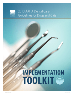 Dental Care Guidelines Toolkit