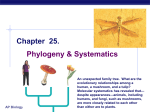 Ch_25 Phylogeny and Systematics
